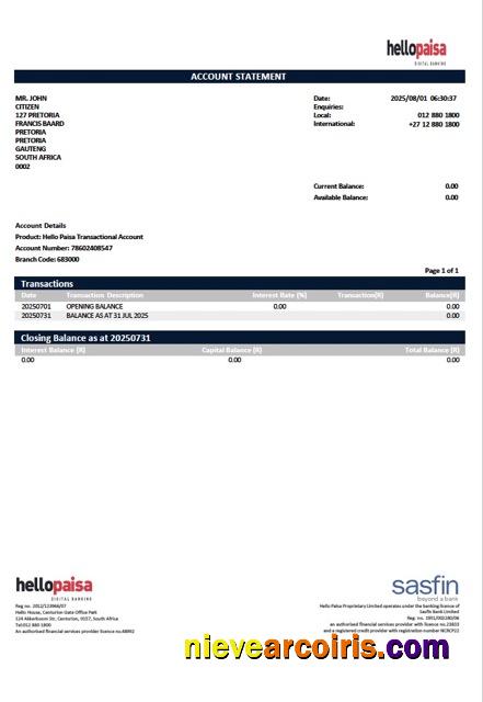 Editable South Africa Hellopaisa Account Statement Word And PDF Template