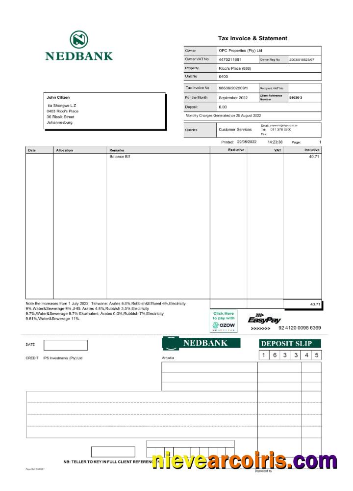 Professional South Africa Nedbank Statement Word And PDF Template Scr
