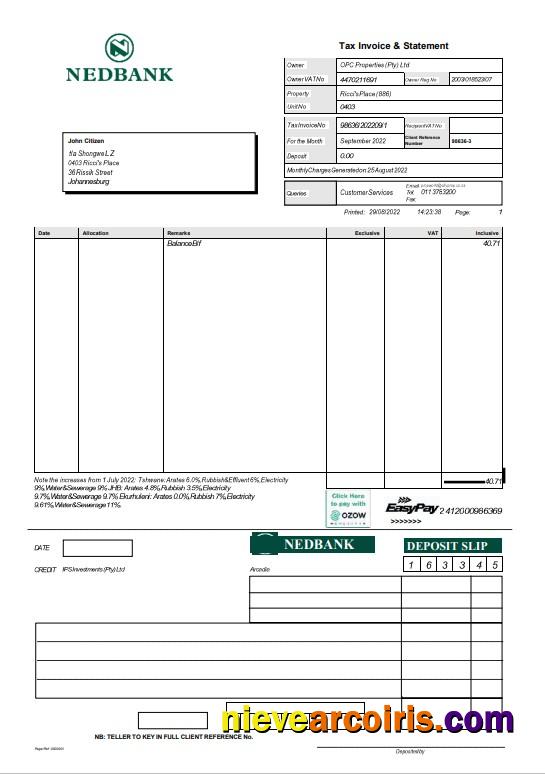 Premium South Africa Nedbank Statement Word And PDF Template