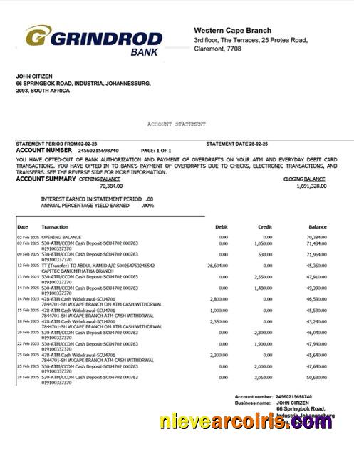 Premium South Africa Grindrod Bank Account Statement Word And PDF Template