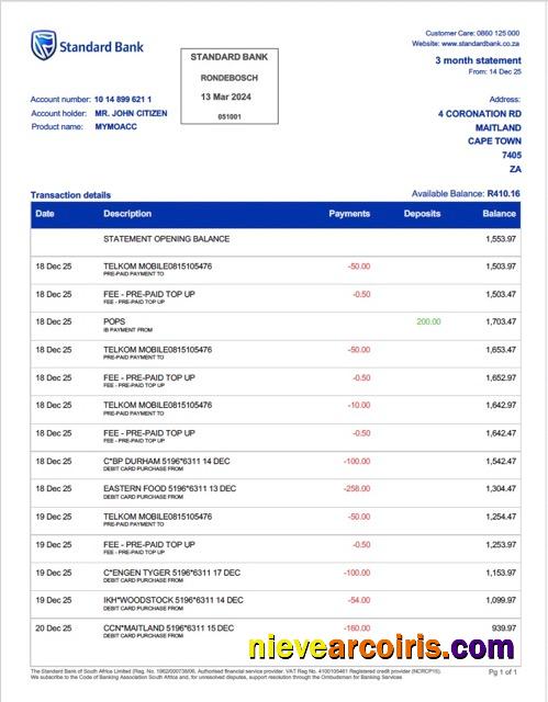 Professional South Africa Standard Bank Rondebosch Bank Statement Word And PDF Template