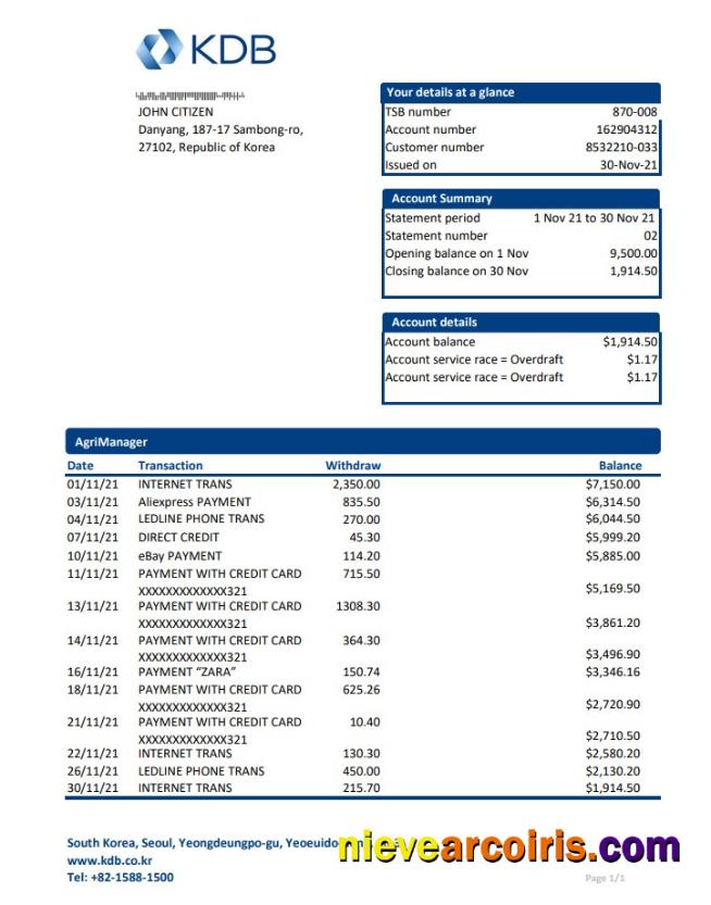 Premium South Korea KDB Bank Statement Easy To Fill Template In Excel And PDF Format