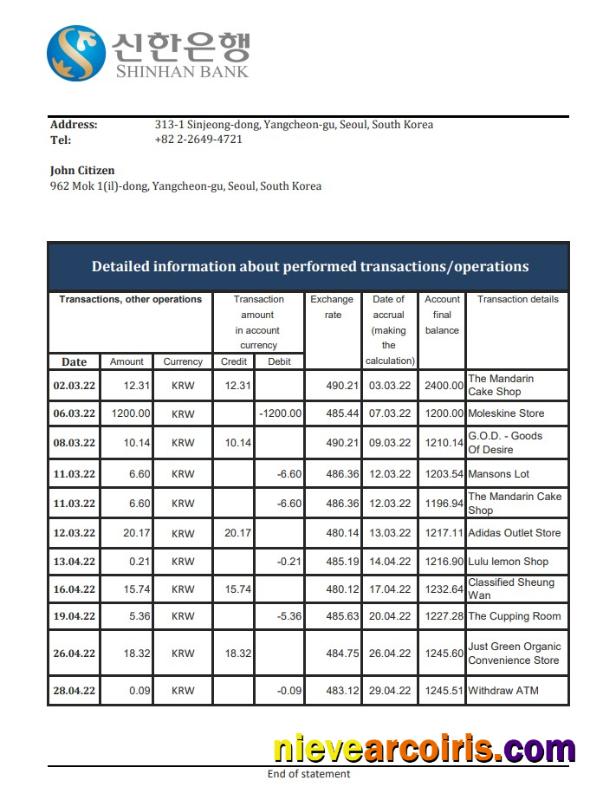 South Korea Shinhan Bank Statement Xls Preview