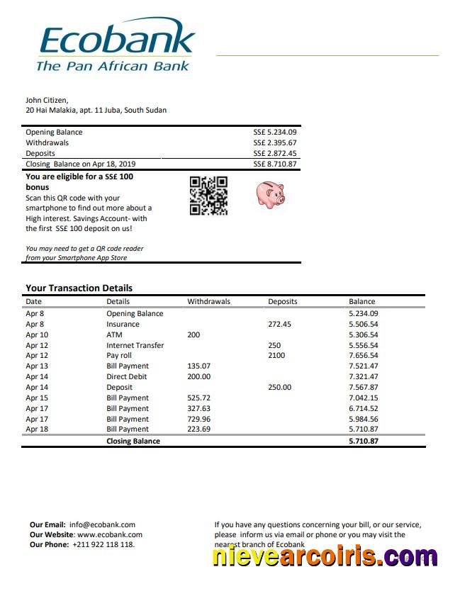 South Sudan Ecobank Bank Statement Preview