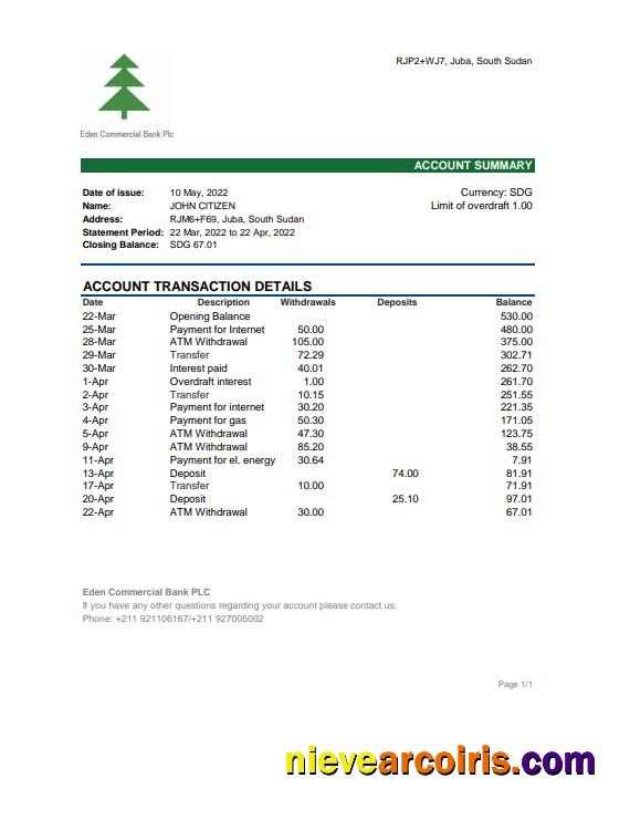 Editable South Sudan Eden Commercial Bank Statement, Excel And PDF Template