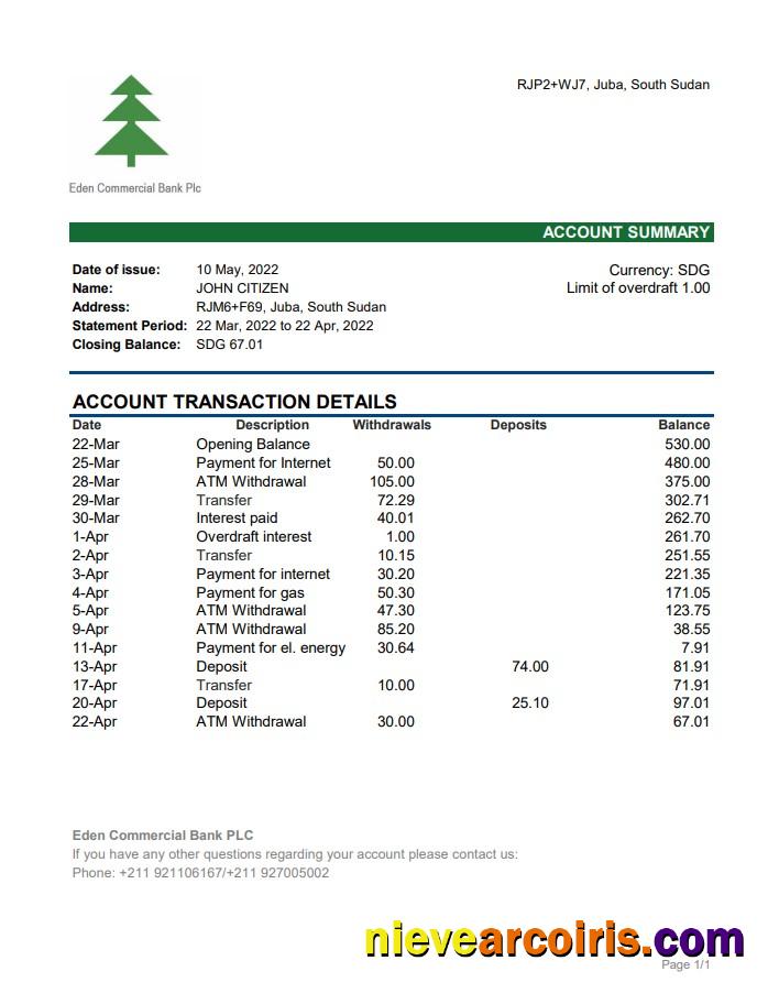 South Sudan Eden Commercial Bank Statement Photolook