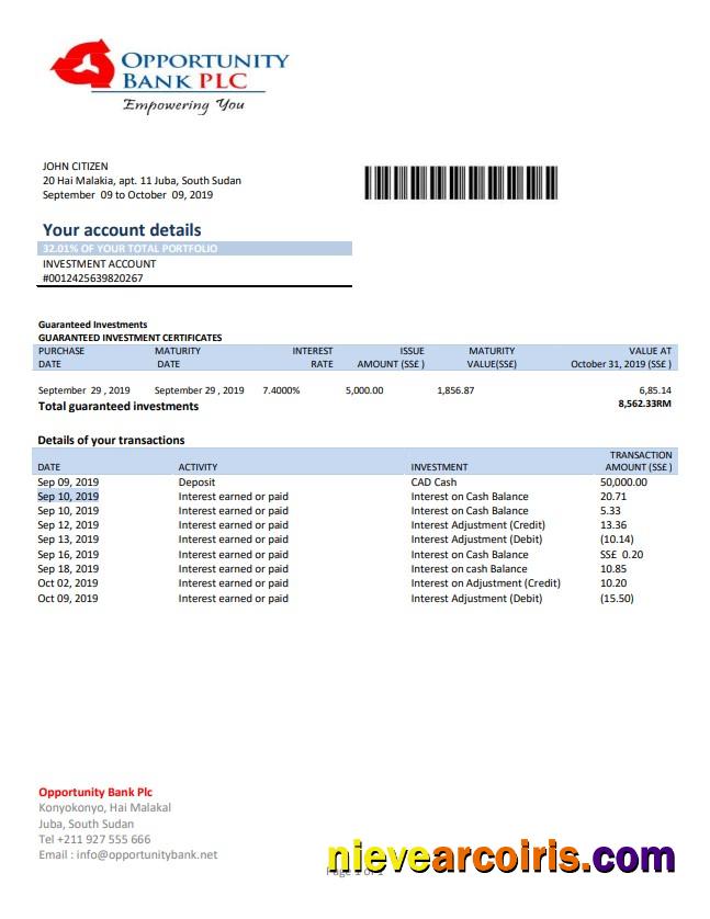 Professional South Sudan Opportunity Bank Statement Template In Word And PDF Format