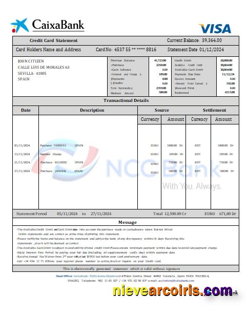 Spain CaixaBank Credit Card Statement Scr Preview