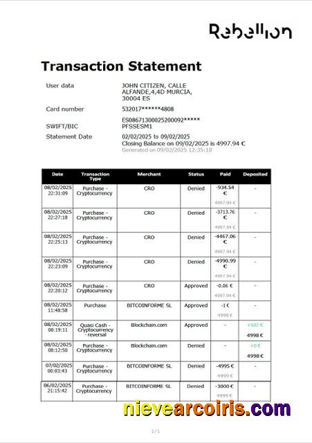 Editable Spain Rebellion Pay Transaction Statement Word And PDF Template