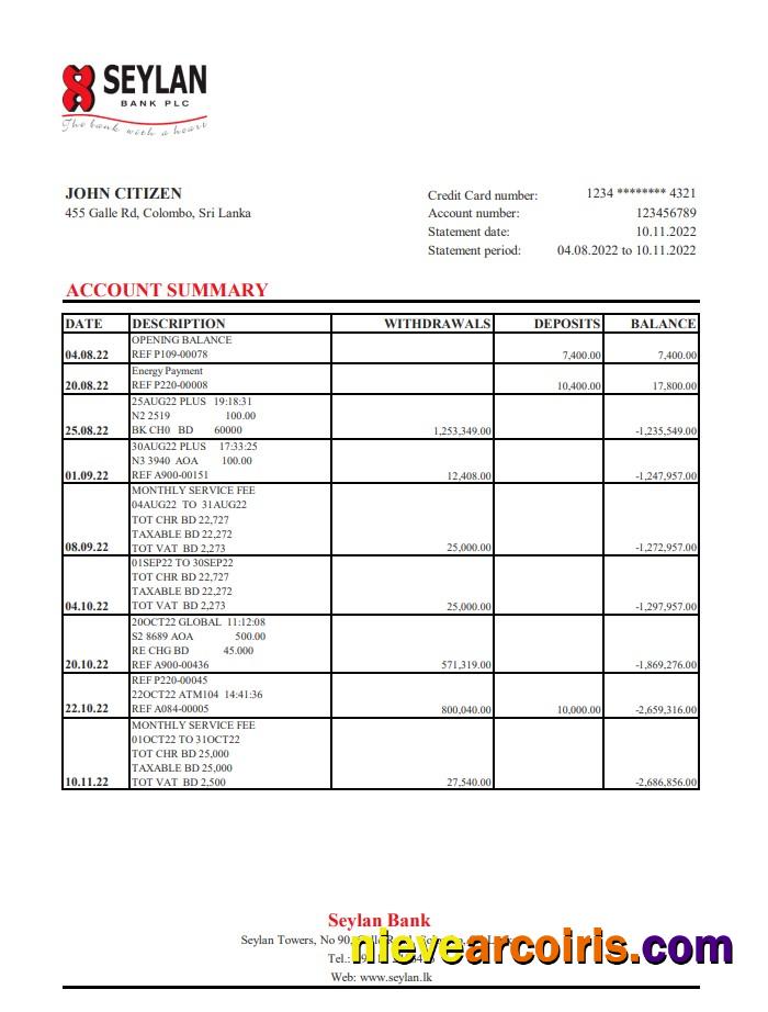 Sri Lanka Seylan Bank Statement Xls Photolook