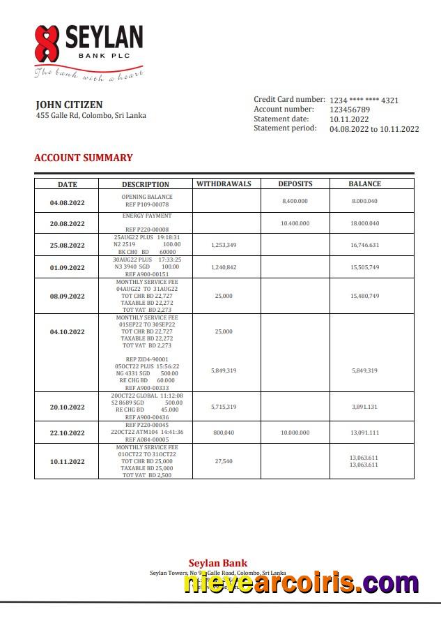 Sri Lanka Seylan Bank Statement Preview