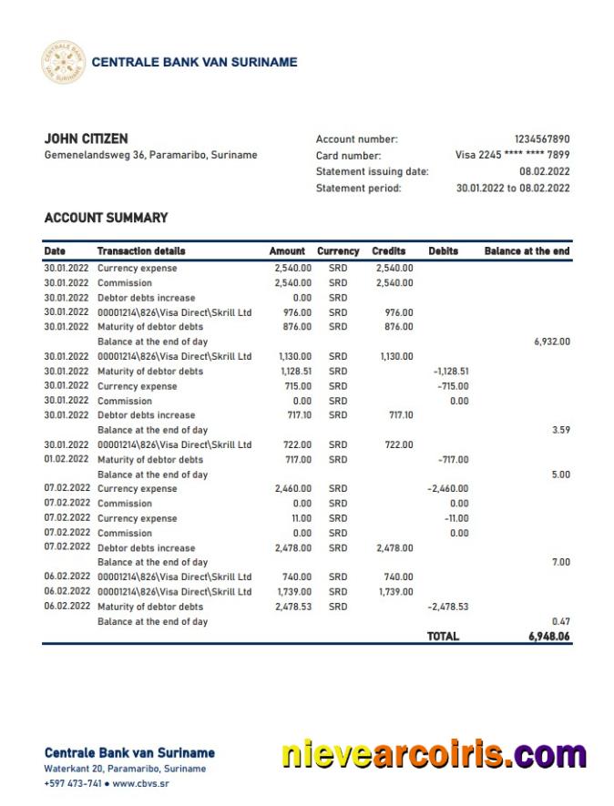 Suriname Centrale Bank Van Suriname Bank Stetement Xls Preview