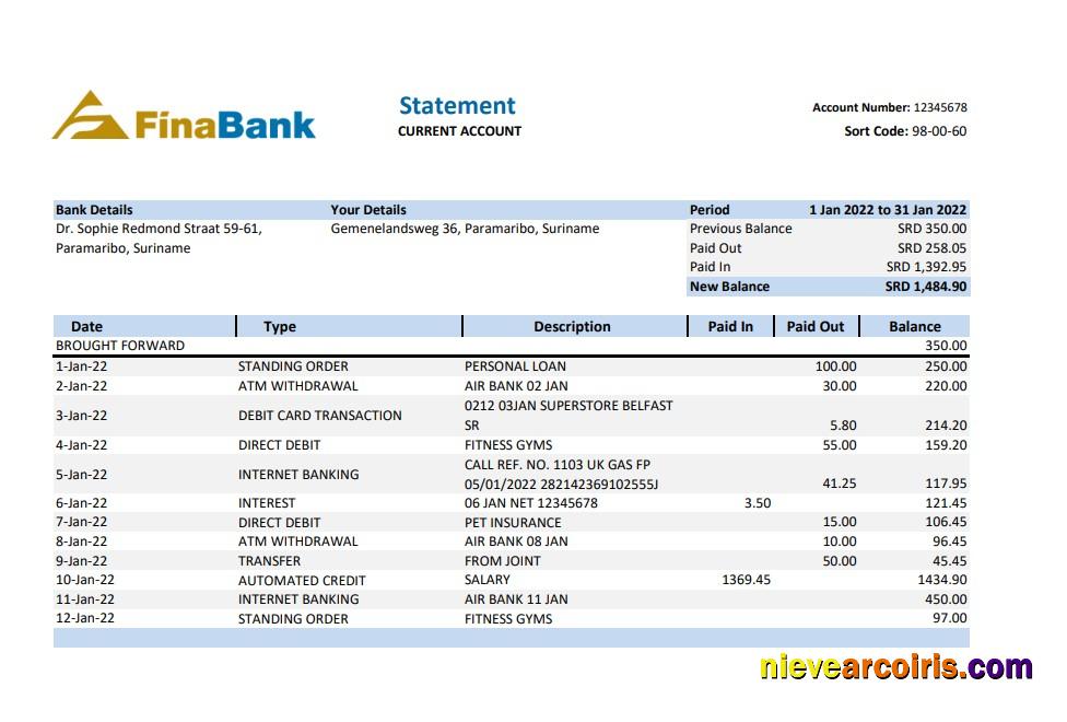 Suriname Finabank Statement Xls Template
