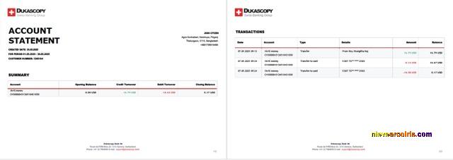 Realistic Switzerland Dukascopy Bank Account Statement Word And PDF Template, 2 Pages