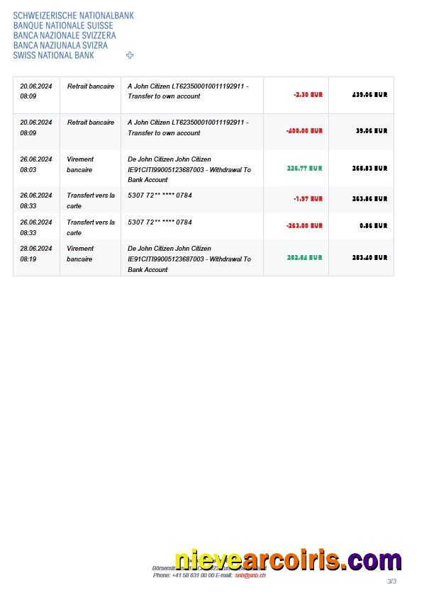 Switzerland Swiss National Bank SNB Account Statement, 3 Pages 2 Preview