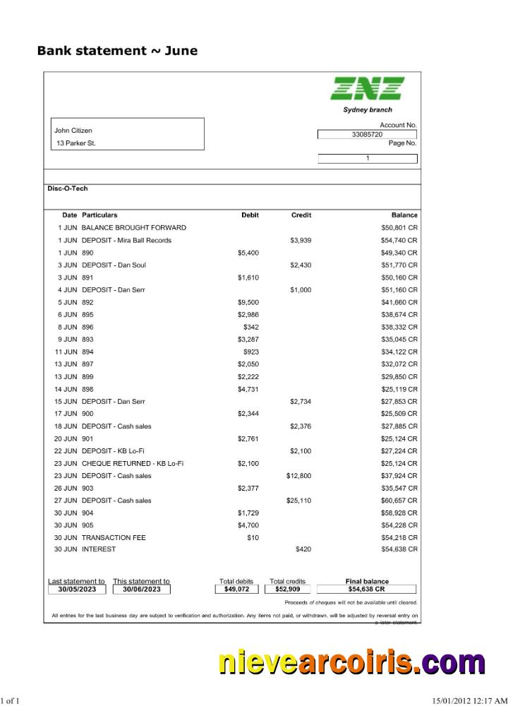 Editable Sydney ZNZ Bank Statement Word And PDF Template Scr