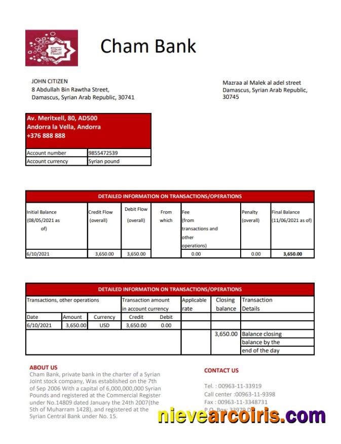 Syria Cham Bank Excel Pdf Template