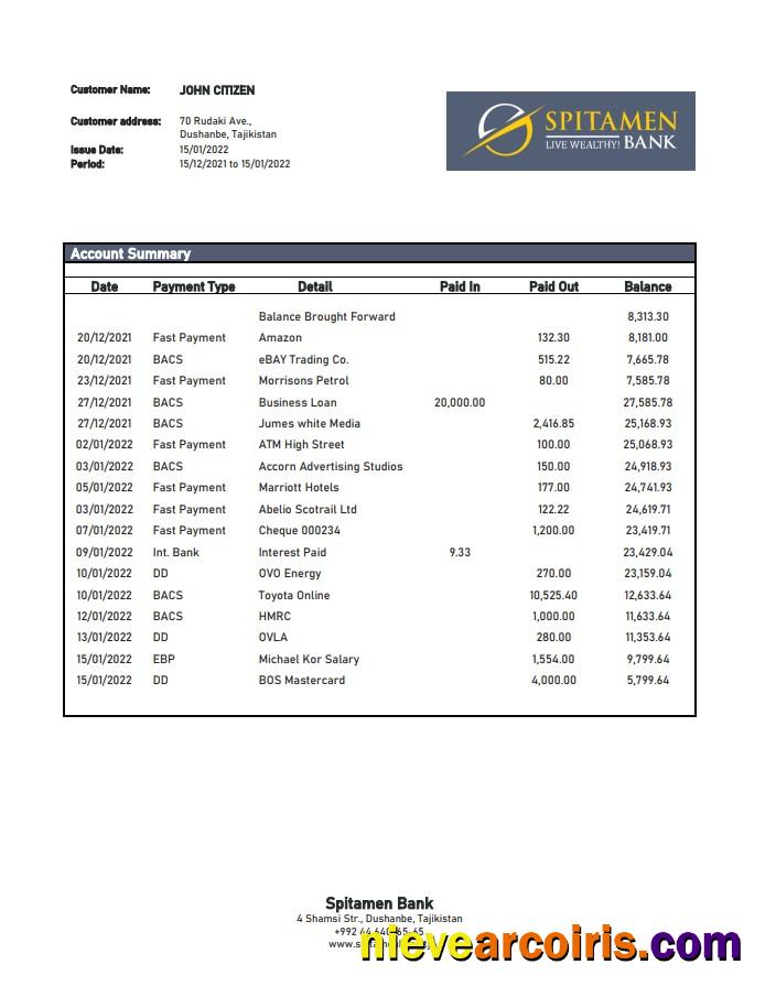 Tajikistan Spitamen Bank Statement Preview