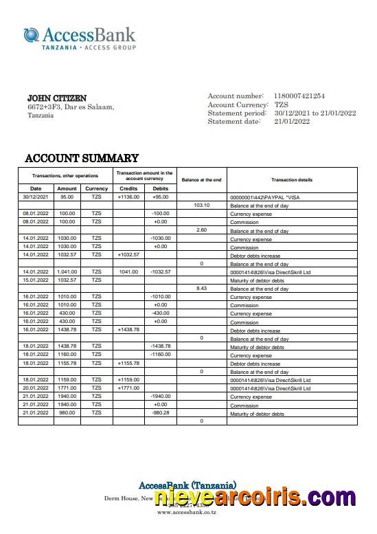 Realistic Tanzania Access Bank Statement Template In Word And PDF Format