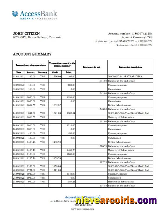 Tanzania Access Bank Statement Preview