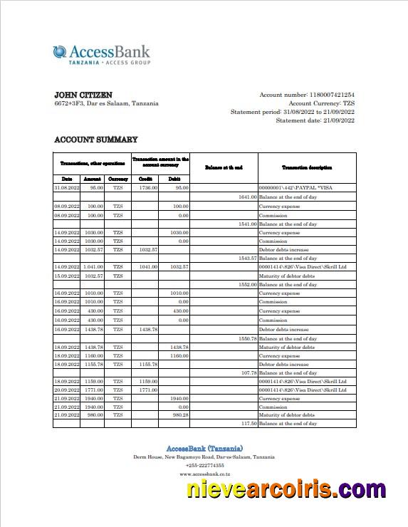 Premium Tanzania Access Bank Statement, Excel And PDF Template