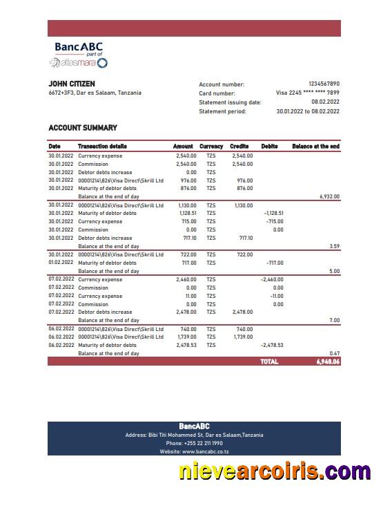 Premium Tanzania BancABC Bank Statement, Excel And PDF Template