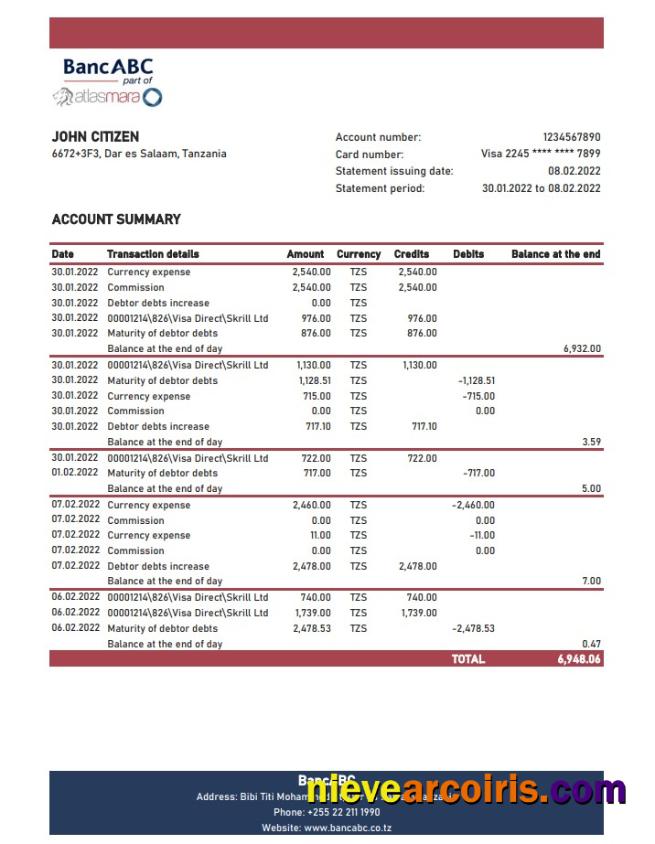Tanzania BancABC Bank Statement Preview