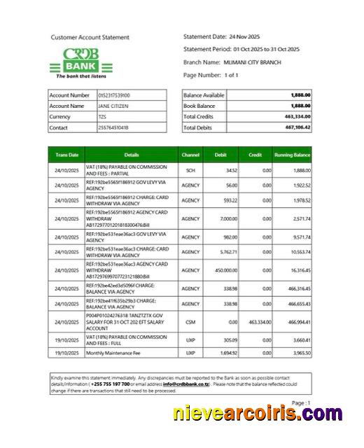 Premium Tanzania CRDB Bank Account Statement Word And PDF Template, Version 2