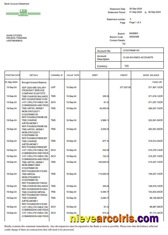 Tanzania CRDB Bank Statement 3 – 6 Months Word And PDF Example Photolook