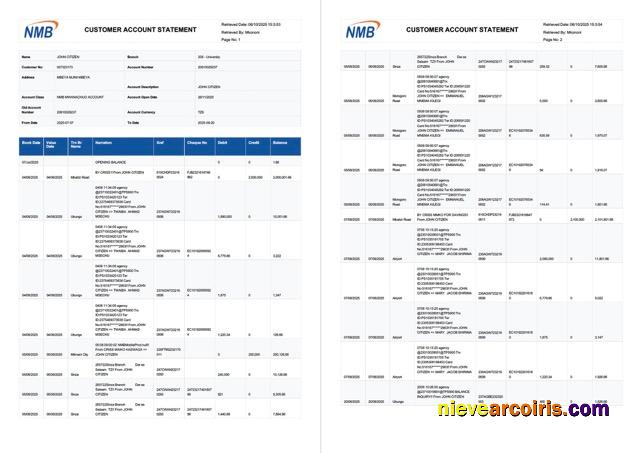 Realistic Tanzania NMB Bank Account Statement Word And PDF Template, 2 Pages