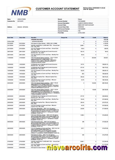 Premium Tanzania NMB Bank Account Statement Word And PDF Template