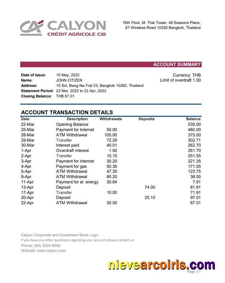 Thailand Calyon Bank Statement Xls Sample