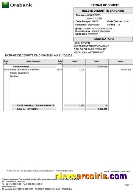 Professional Togo Orabank Account Statement Word And PDF Template