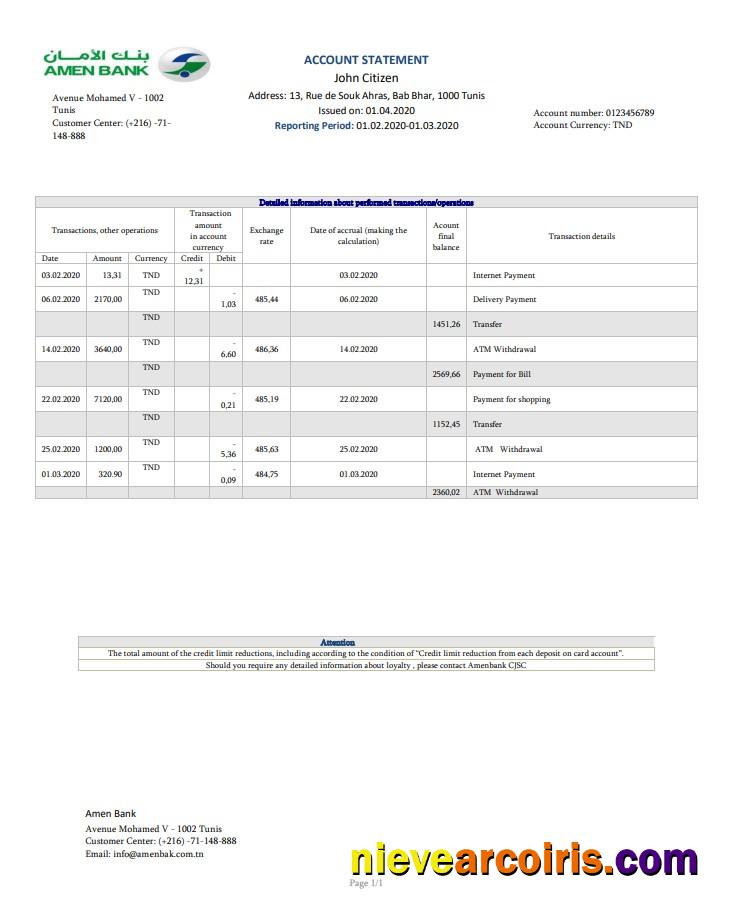 Professional Tunisia Amen Bank Statement Easy To Fill Template In Word And PDF Format