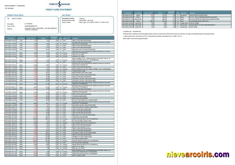 Turkey Bankasi Bank Statement 2 Pages Photolook