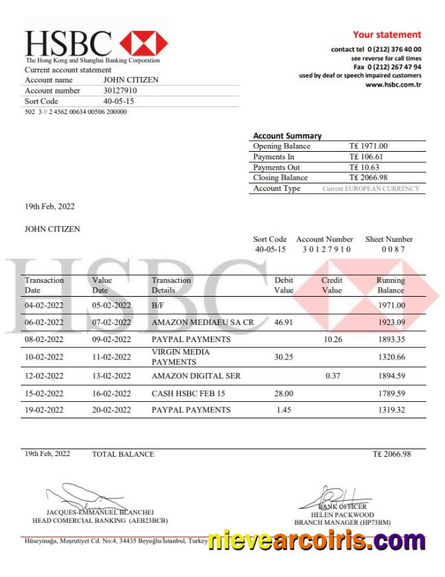Turkey HSBC Bank Statement Template