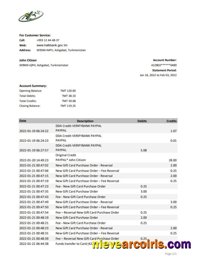 Professional Turkmenistan HalkBank Bank Statement, Excel And PDF Template