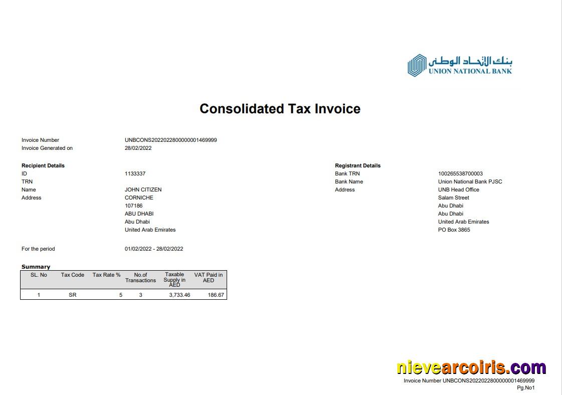 UAE Abu Dhabi Union National Bank Statement 2 Pages Photolook