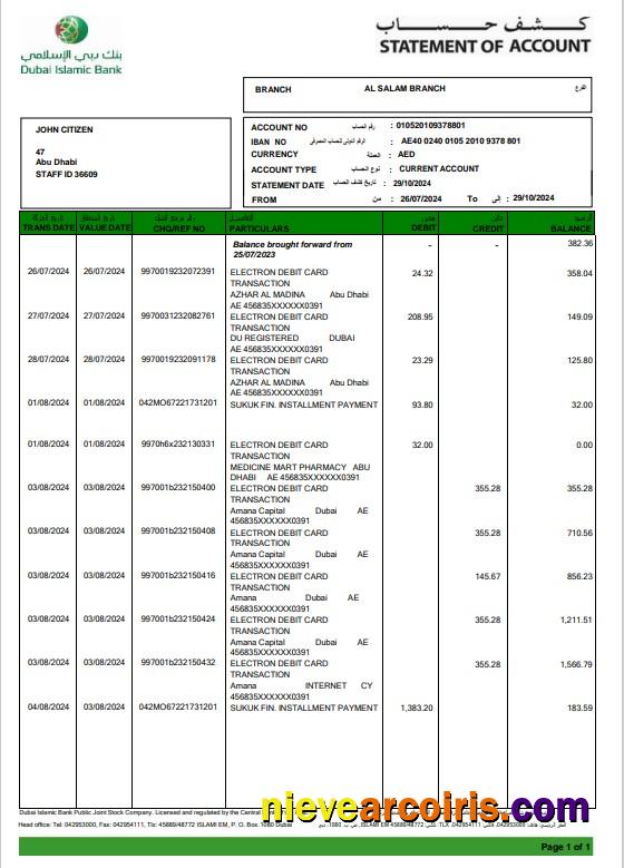 UAE Duabi Islamic Bank Statement 3 – 6 Months Word And PDF Example Photolook