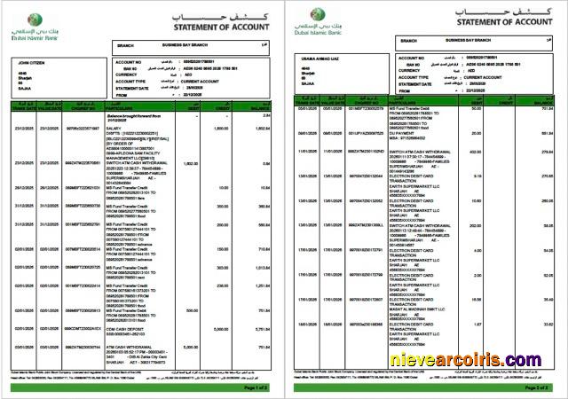 Editable UAE Dubai Islamic Bank Statement Of Account Word And PDF Template, 2 Pages