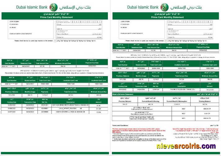 Premium UAE Dubai Islamic Bank Statement Template In Word And PDF Format In Arabic Language, 3 Pages