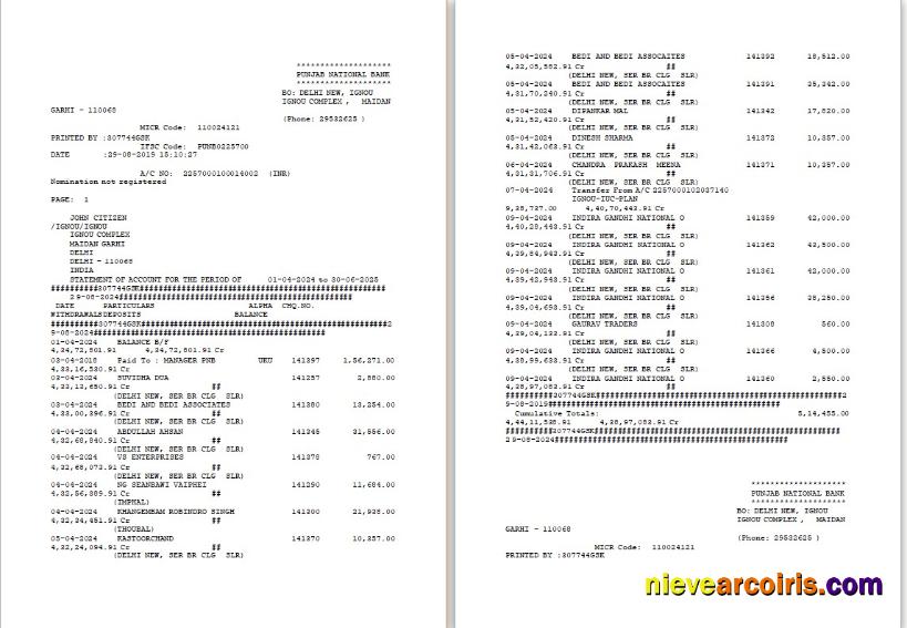 Realistic UAE Dubai PNB Bank Statement Word And PDF Template, 2 Pages