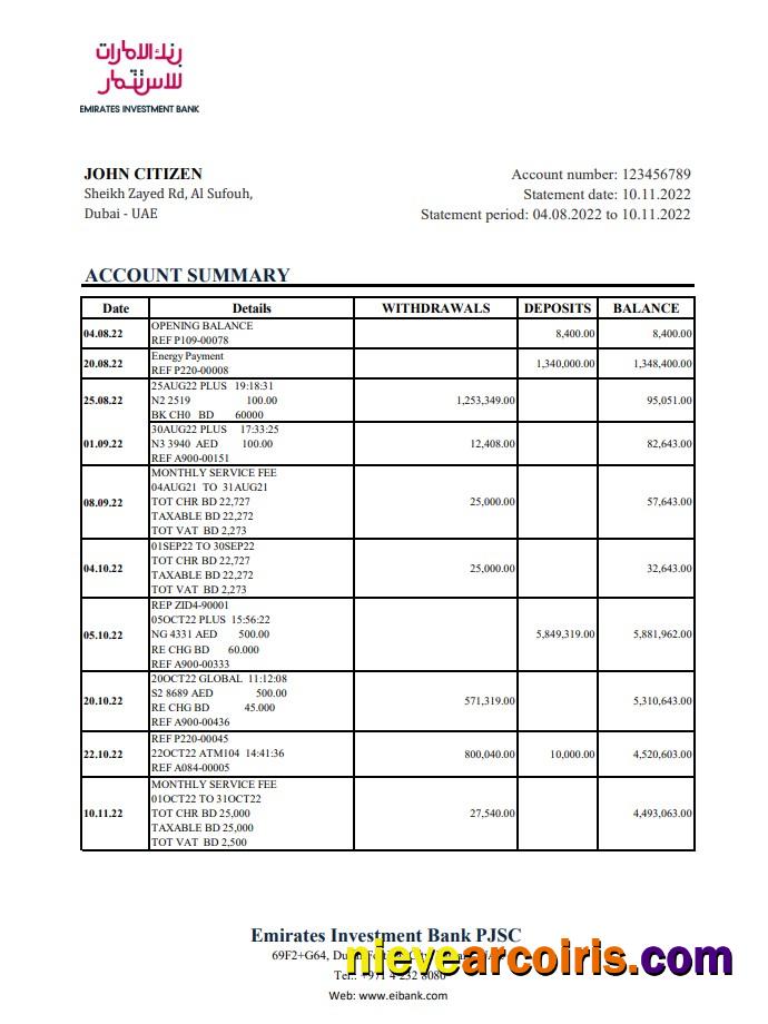 UAE Emirates Investment Bank Statement Xls Sample