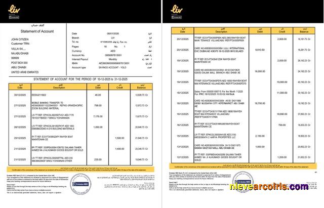 Editable UAE Liv. Digital Bank Statement Of Account Word And PDF Template, 2 Pages