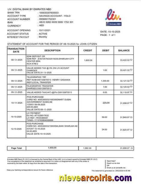 Premium UAE Liv. Digital Bank Statement Of Account Word And PDF Template