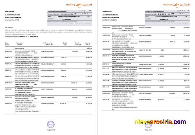 Professional UAE Mashreq Account Statement Word And PDF Template, 2 Pages
