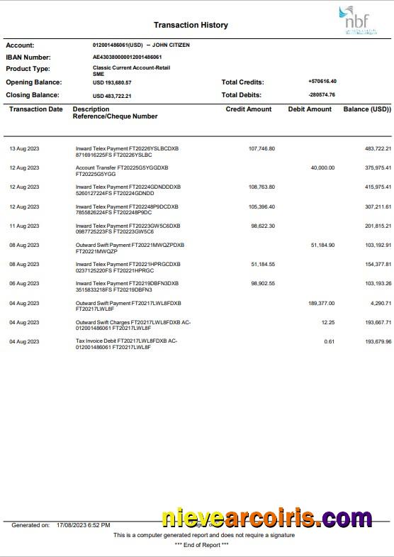 Realistic UAE NBF Bank Statement Word And PDF Template