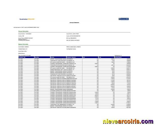 Realistic UAE Emirates NBD Account Statement Word And PDF Template, Version 2