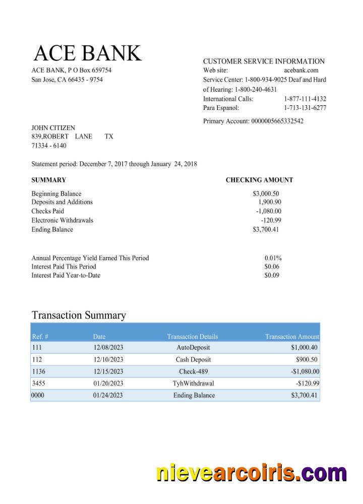 Premium USA ACE Bank Statement Word And PDF Template Scr