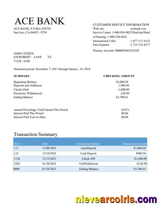 Realistic USA ACE Bank Statement Word And PDF Template